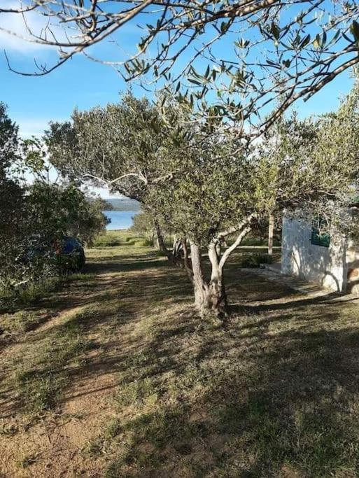 Holiday home Robinson House Sea & Olives