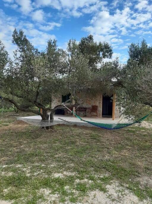 Holiday home Robinson House Sea & Olives *
