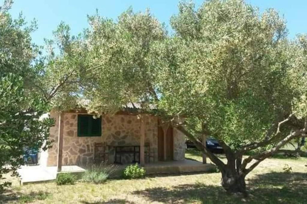 Robinson House Sea & Olives Tisno